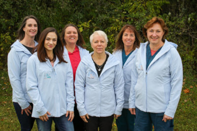 Team of Veterinarians
